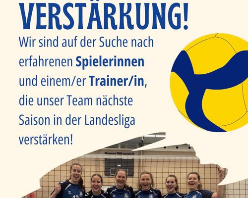 Unsere TSB Volleyball Damen suchen Verstärkung